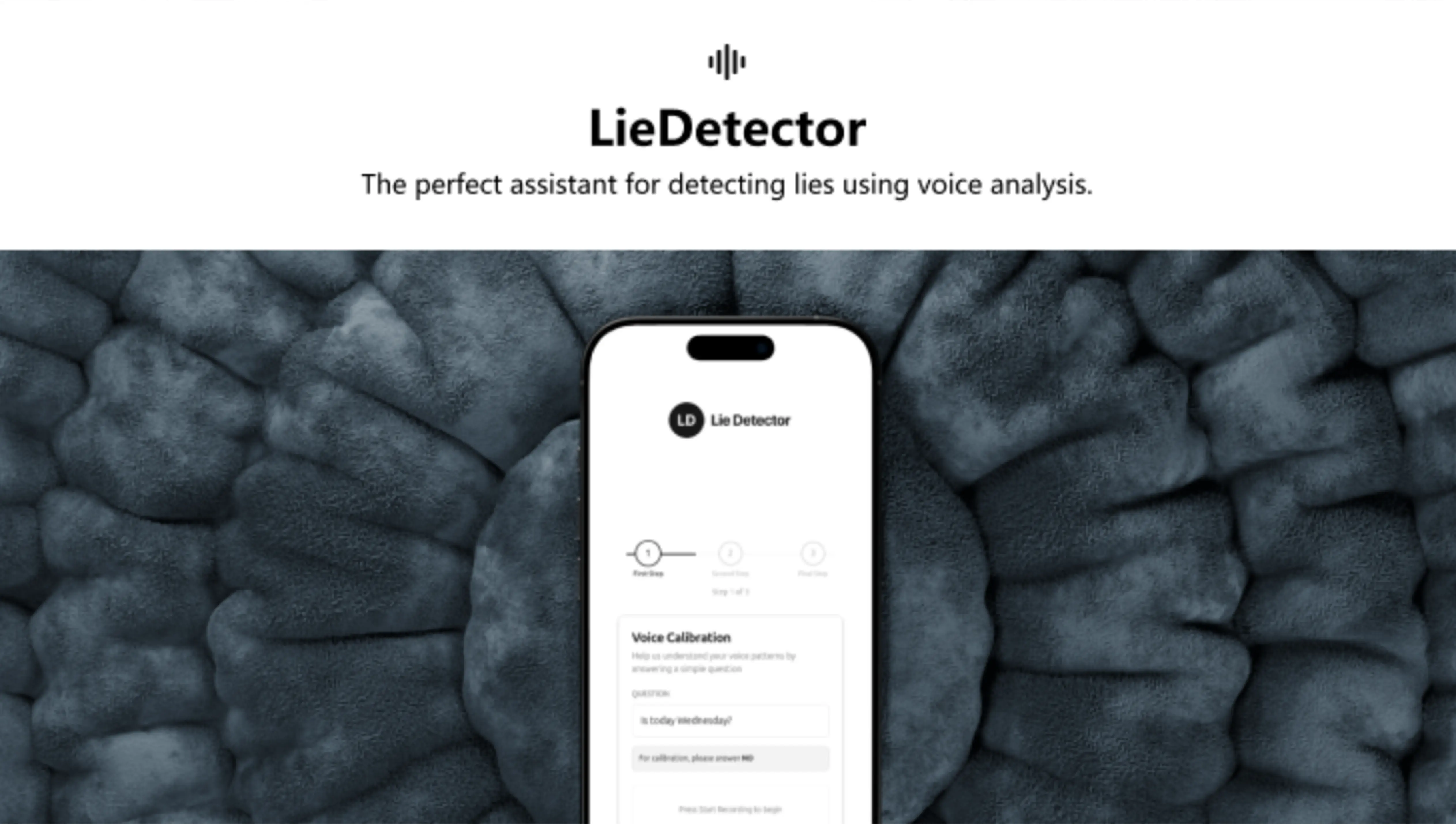 LieDetector screenshot